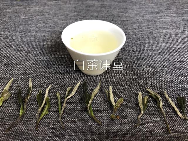 白茶是绿茶的一种，喝新茶最好？你当真认识白茶？