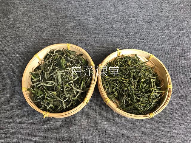 白茶是绿茶的一种，喝新茶最好？你当真认识白茶？