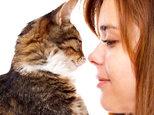 猫咪拒绝被主人亲吻，是嫌弃？其实你误会它了