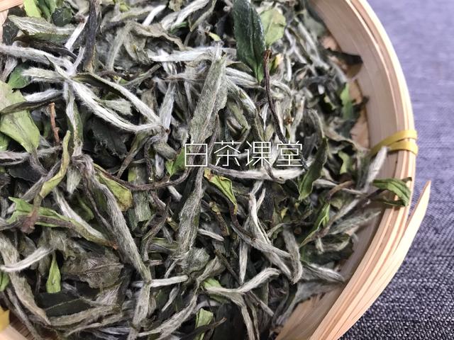 白茶是绿茶的一种，喝新茶最好？你当真认识白茶？