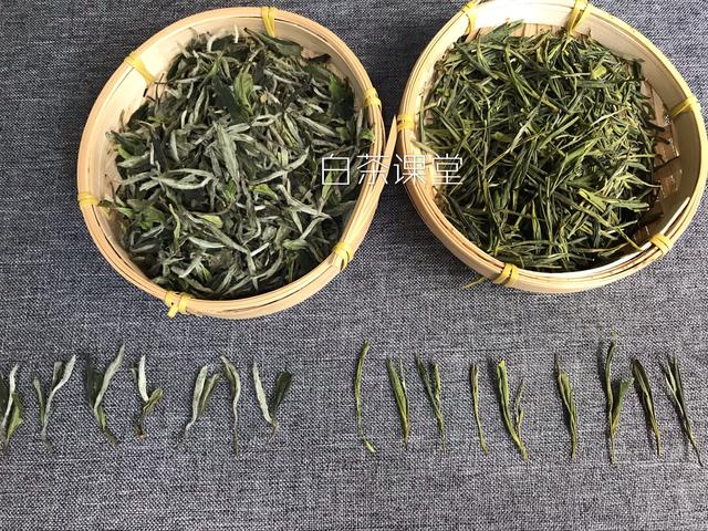 白茶是绿茶的一种，喝新茶最好？你当真认识白茶？