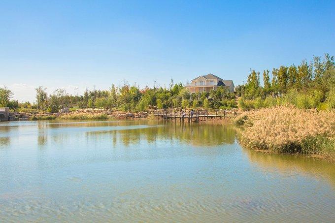 东营景观湖系列 19 植物园 静、净、敬、镜、婧五湖
