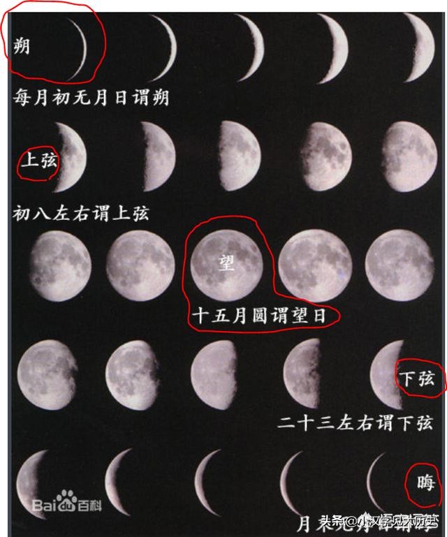 汉字源流：「霸」字为何从「雨」从「月」？